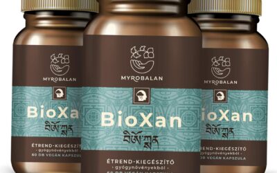 Szorongás elleni stratégiák a mindennapokban